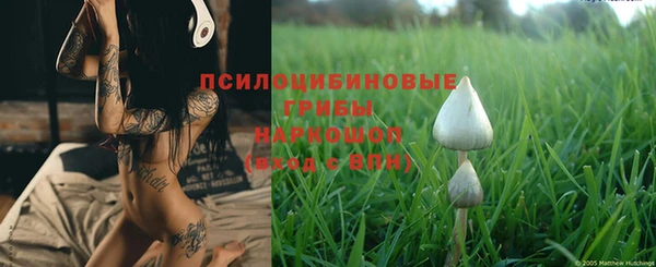 ПСИЛОЦИБИНОВЫЕ ГРИБЫ Медвежьегорск